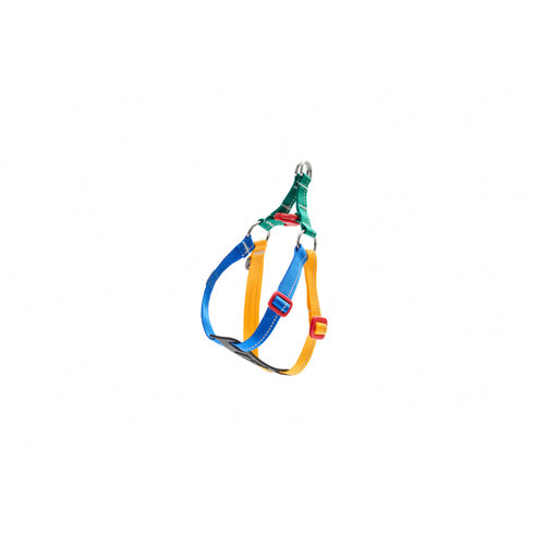 RC PETS Dog Petite Step In Harness, Jelly Bean, XS, 10" - 15" - Poudre Pet and Feed Supply